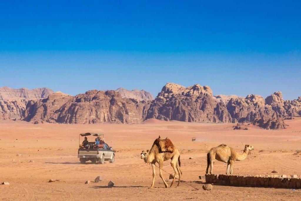 Bedouins Life Camp Hotel Aqaba Eksteriør billede