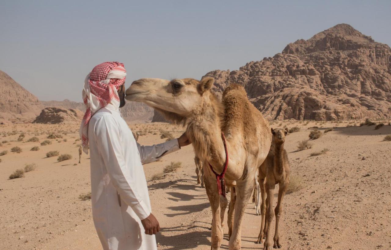 Bedouins Life Camp Hotel Aqaba Eksteriør billede
